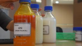 Правительство дало ответ по поводу ограничения «пальмы»